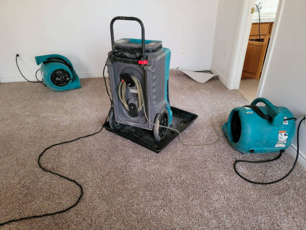 Best Water damage restoration company  in Bells, TN