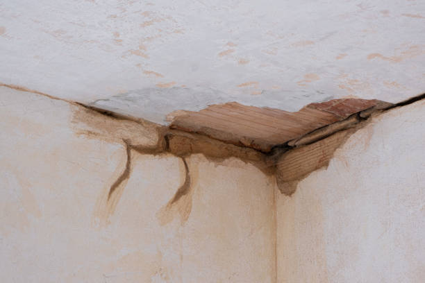 Best Flooded house restoration  in Bells, TN