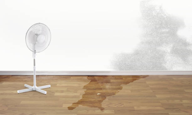 Best Residential water damage restoration  in Bells, TN