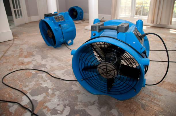 Carpet water damage restoration in TN